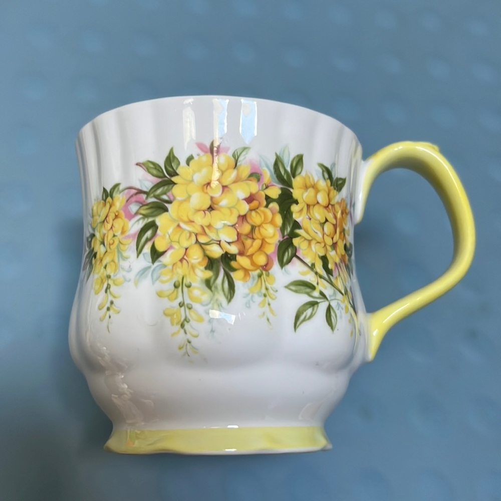 Royal Albert Blossom Time "Laburnum" England Floral Mug Discontinued